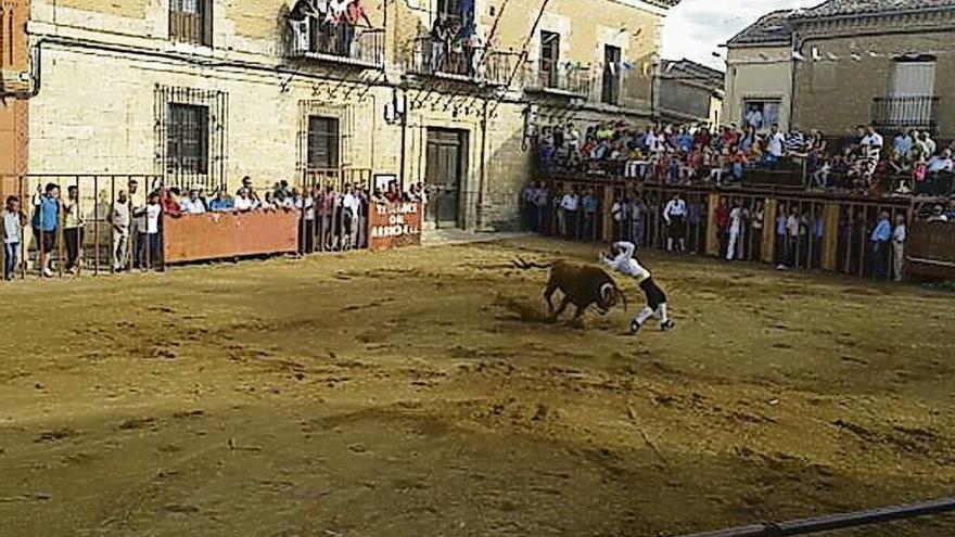 Un festejo taurino celebrado en la plaza del Ayuntamiento en las fiestas de Morales de Toro.