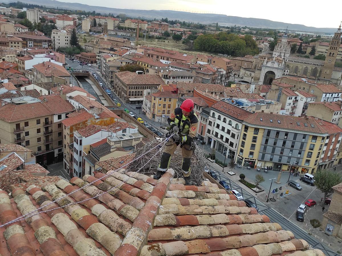 Los Bomberos de la DPZ se llevan el Aragonés del Año en Valores Humanos