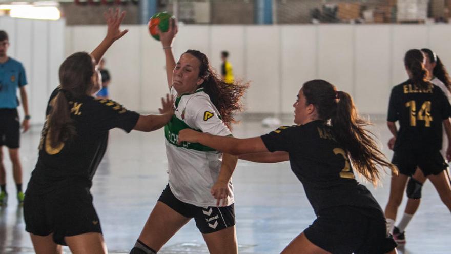 Una edición anterior de la Torrellano Cup de Balonmano