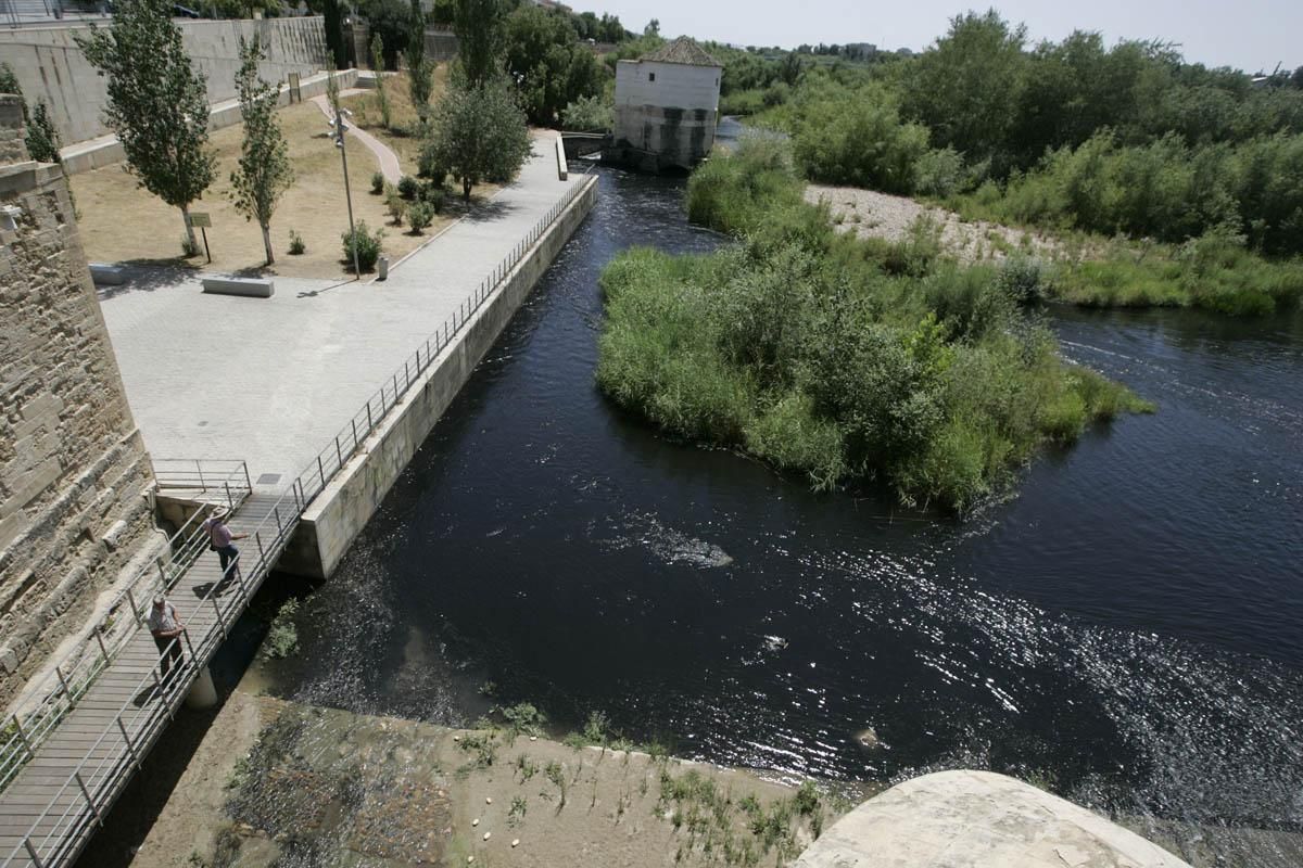 Fotogalería / Vertido de orujo en el Guadalquivir