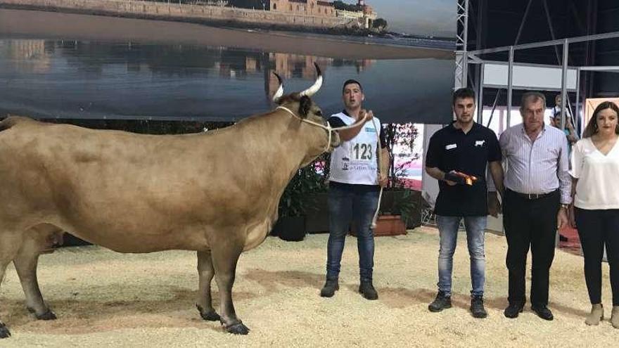 Por la izquierda, &quot;Campanera&quot;, manejada por Samuel Ruso; Iván Cañadas; el vicepresidente de la Cooperativa de Agricultores de Gijón, José Antonio Piñera, y la jueza del concurso, Albina Pedraza.