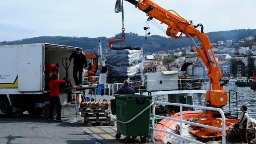 Bateeiros descargando mejillón en el puerto de Bueu.  // Gonzalo Núñez