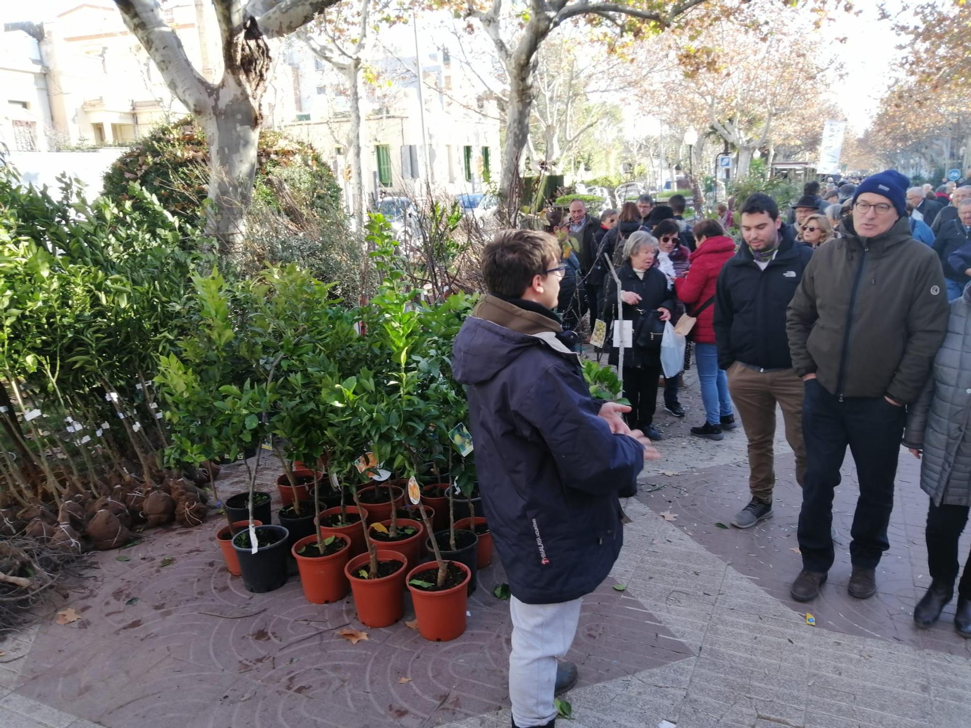 Fira de Reis d'Igualada