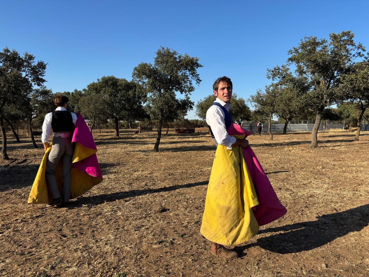 GALERÍA | Alumnos de la Escuela Taurina de Navas del Rey participan en una retienta en la ganadería Toros Villalpando