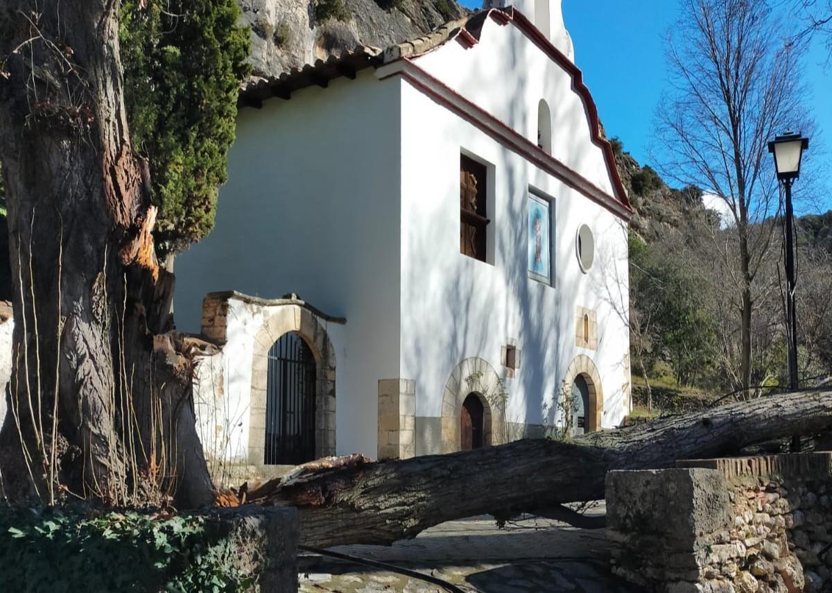 El ermitorio de la Virgen del Roser en Xiva de Morella ha sufrido la caída de diversos árboles.