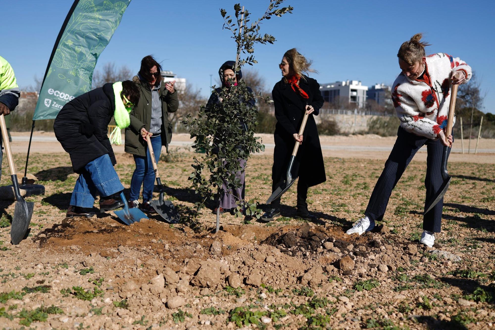 Protagonistas de los Feroz plantan árboles en el Bosque de los Zaragozanos