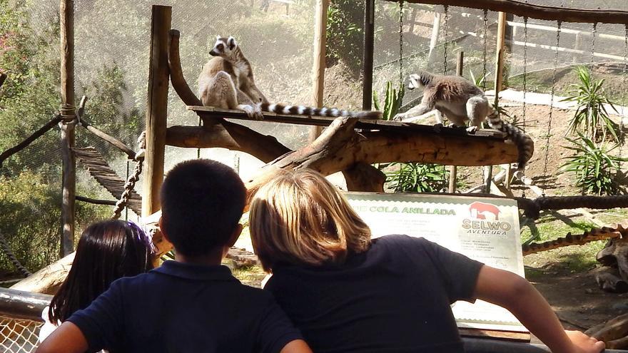 Selwo Costa del Sol recupera las visitas de colegios e institutos tras el parón por la COVID-19