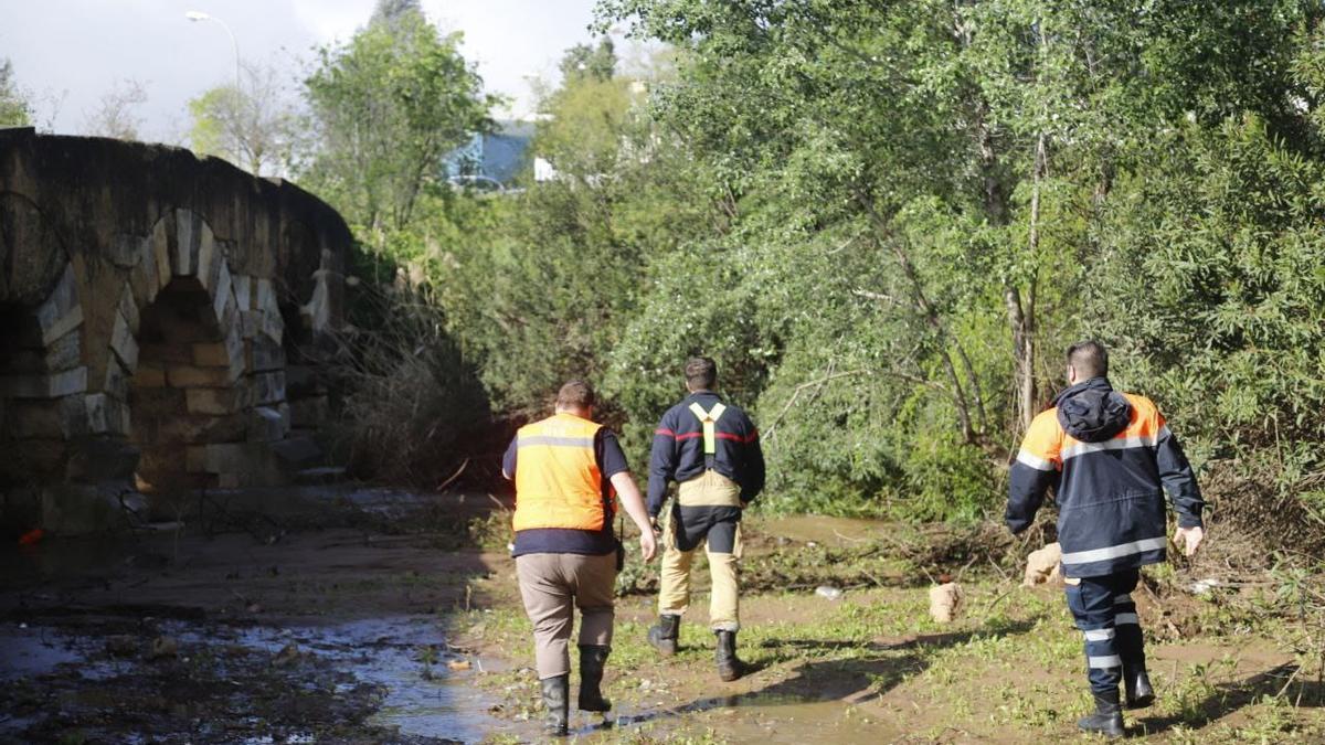 Un bombero y dos efectivos de Protección Civil buscan el cuerpo este lunes.