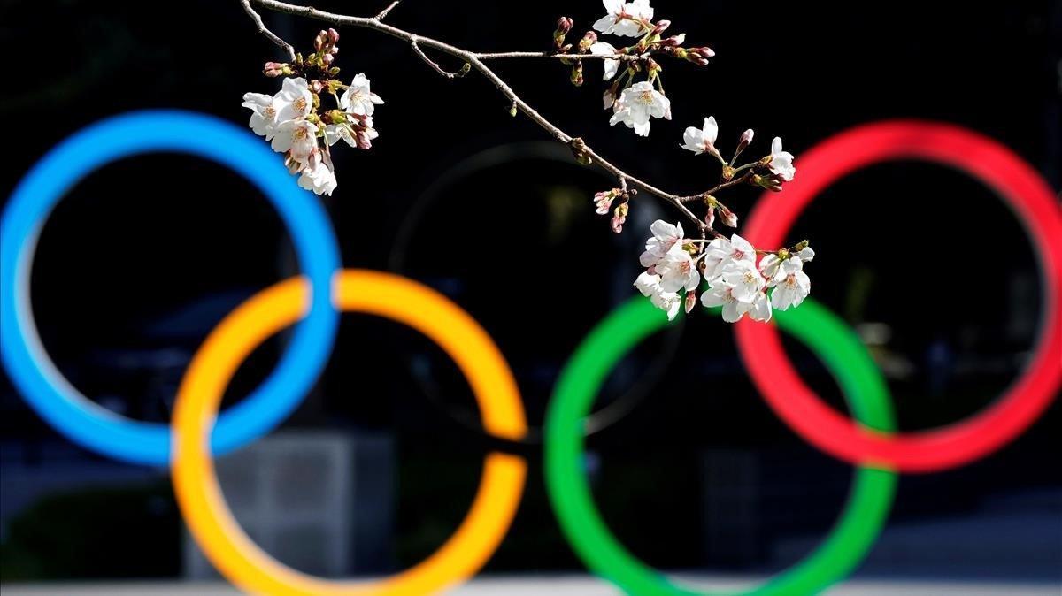 zentauroepp52907099 tokio  24 03 2020   cerezos en flor delante del monumento de201110125821