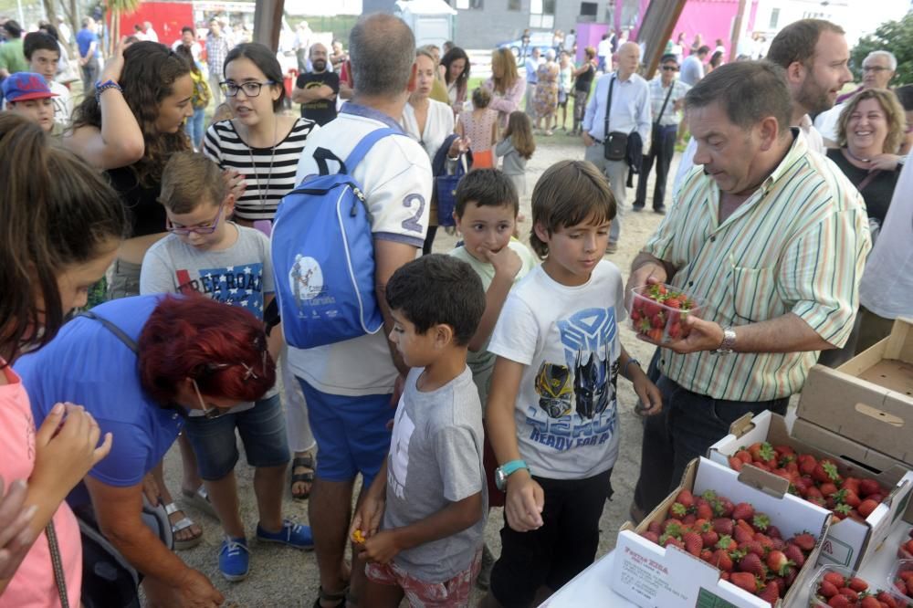 Fiesta de la Fresa 2016 en Eirís