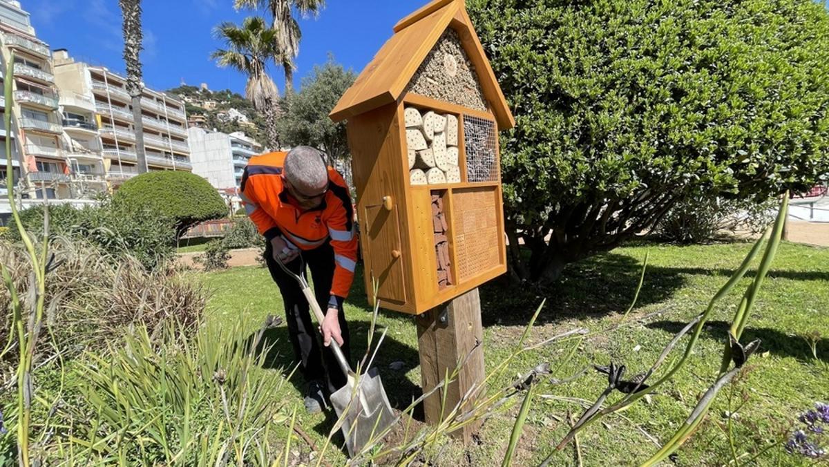 La instal·lació del darrer Hotel d'Insectes a Blanes