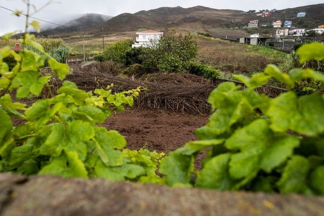Efectos de la tormenta 'Hermine' en Tenerife