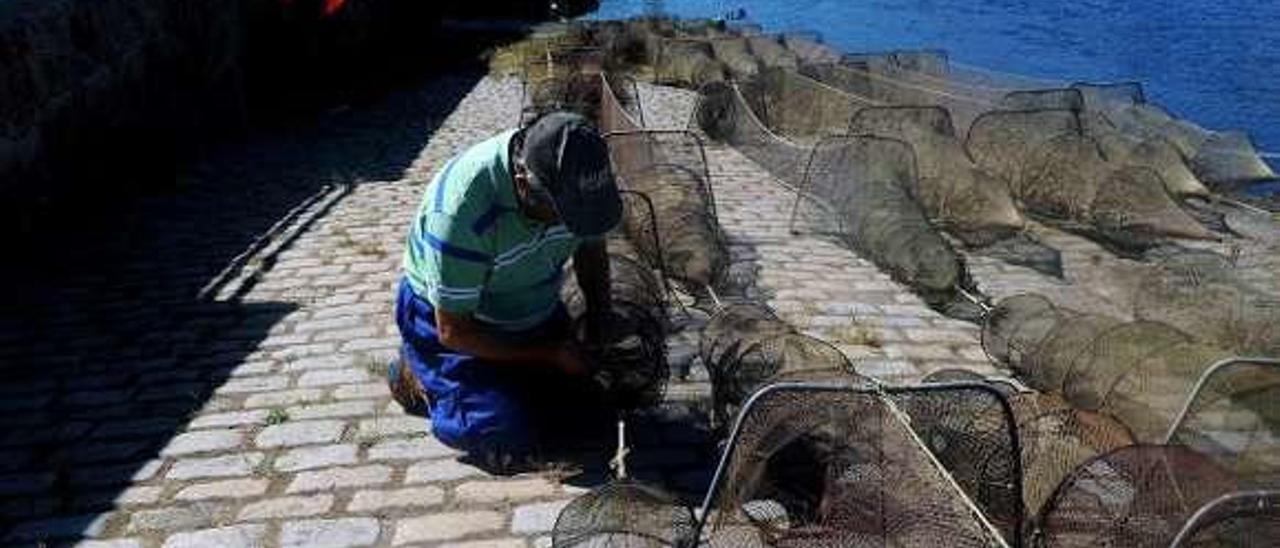 Preparación de nasas de anguila, en Pontecesures. // Iñaki Abella