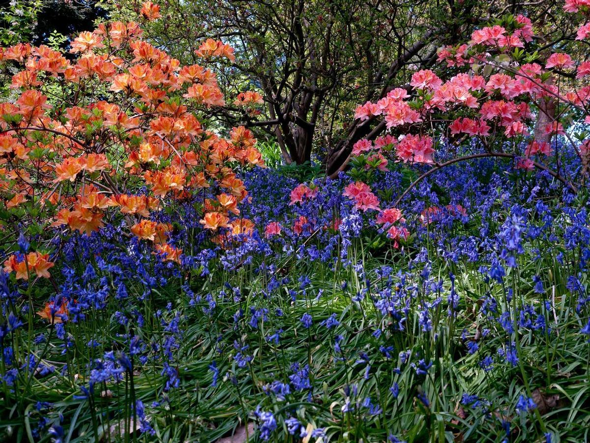 RHS Gardens Wisley