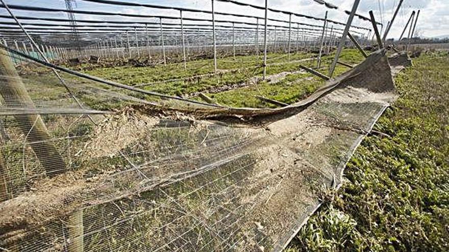 El pas del Glòria per Girona va causar grans danys