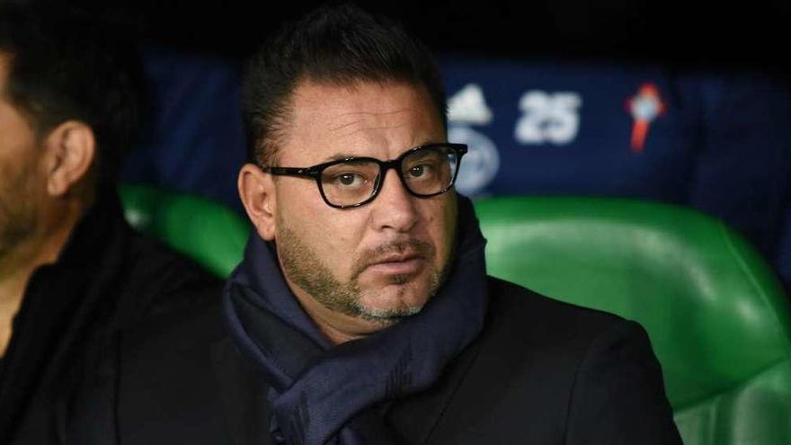 Antonio Mohamed, en el banquillo del Benito Villamarín durante el partido del pasado domingo. // LOF