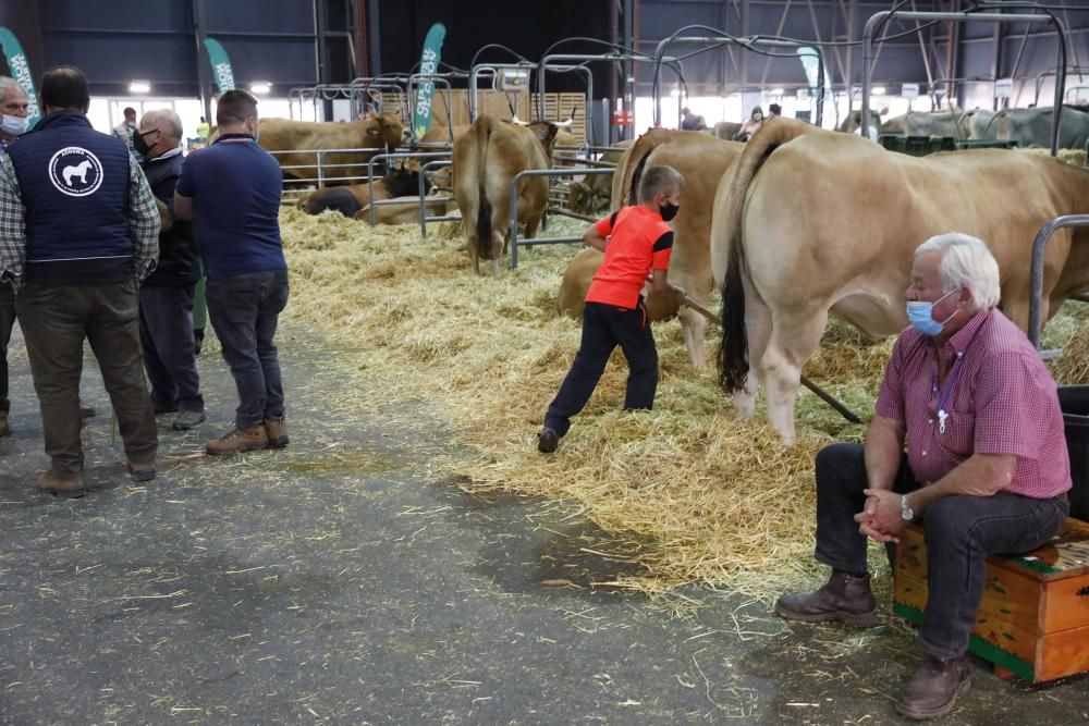 Agropec cierra su cita en Gijón