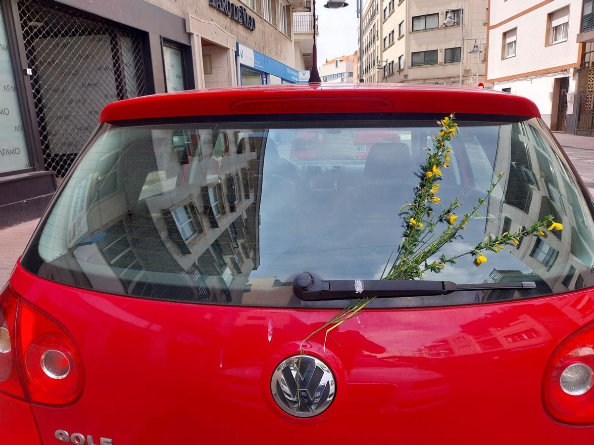 Xa chegan os maios.