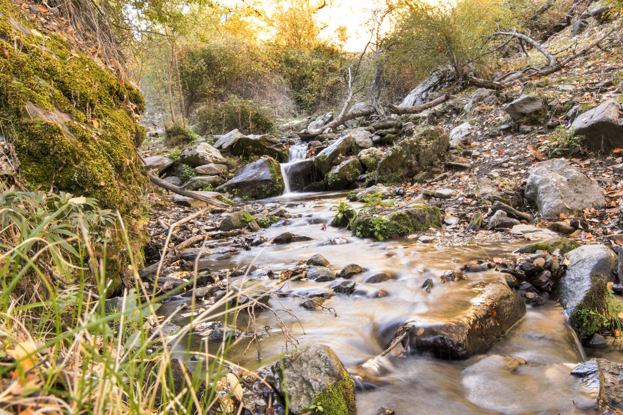 La Dehesa del Camarate en el Parque Nacional de Sierra Nevada