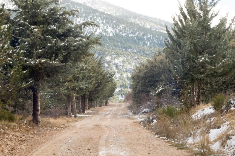 Más nieve en el Noroeste