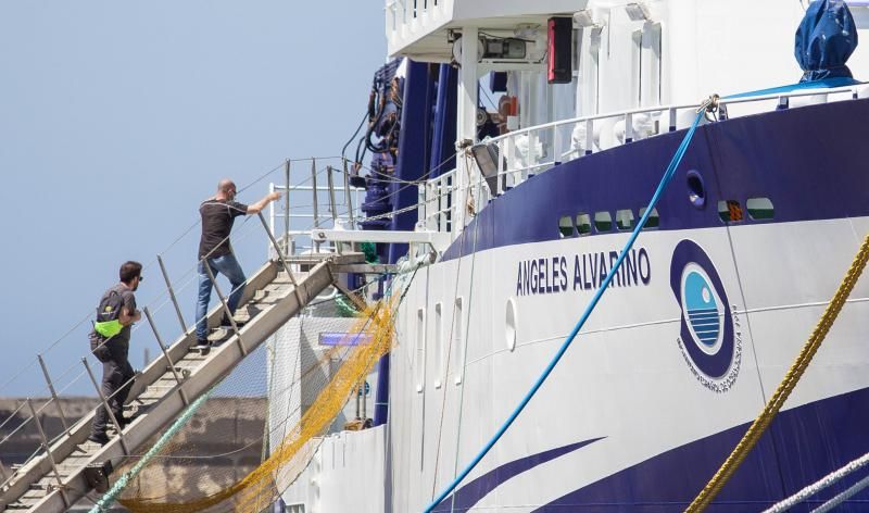 El 'Ángeles Alvariño' vuelve a puerto para reparar una avería