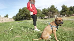 Barcelona lluitadora: Petites roses de foc