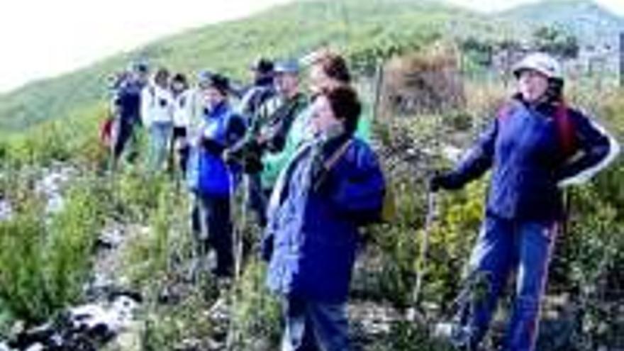 Ademoxa organiza una ruta a la Laguna de la Sierra de Gredos