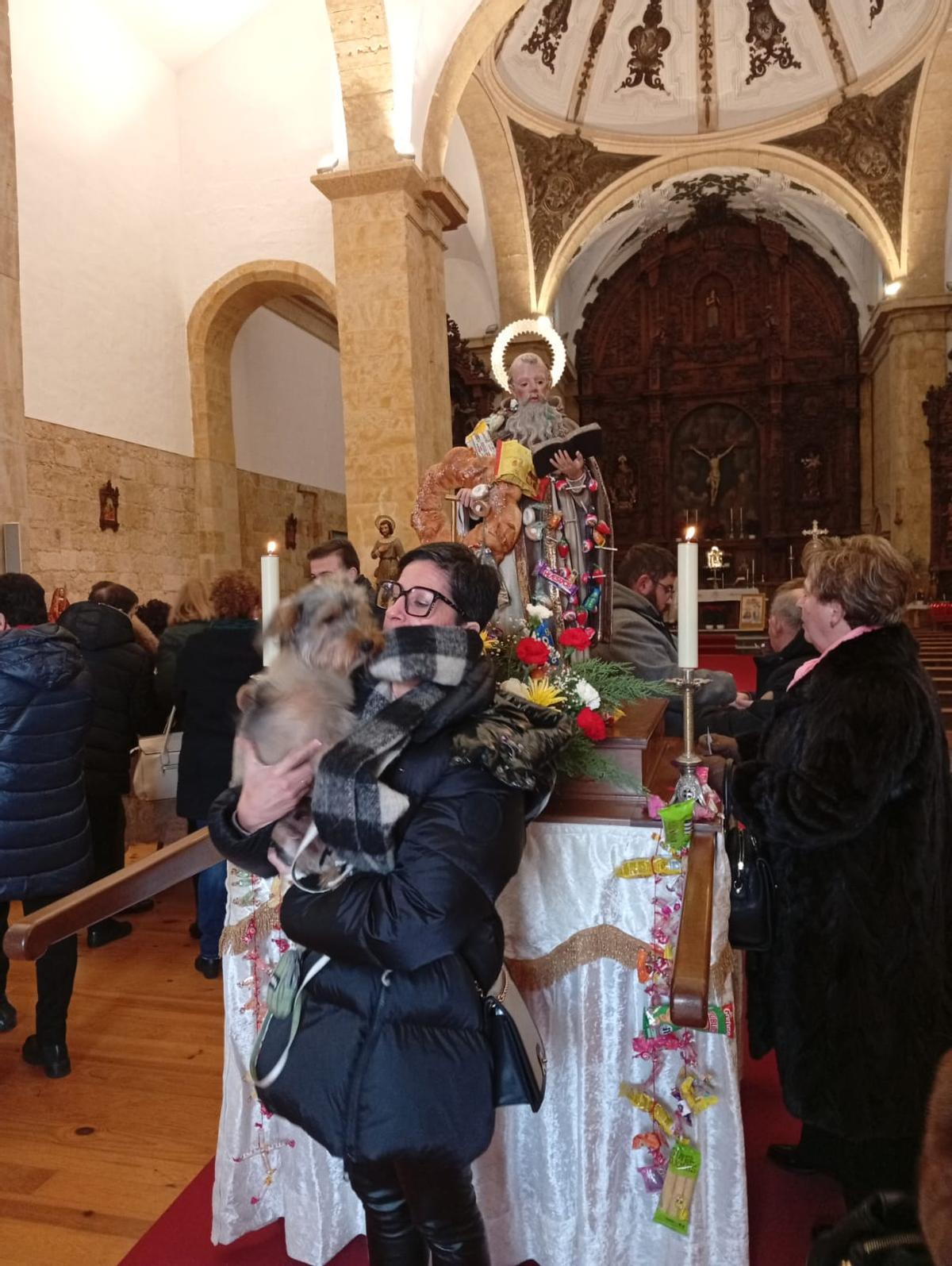 Procesión y bendición de animales en Moraleja del Vino