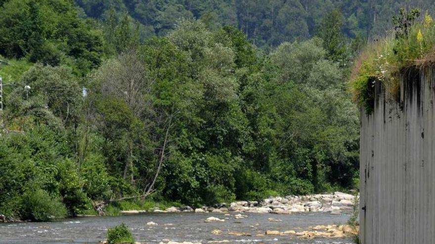 Un pescador, en el río Caudal.