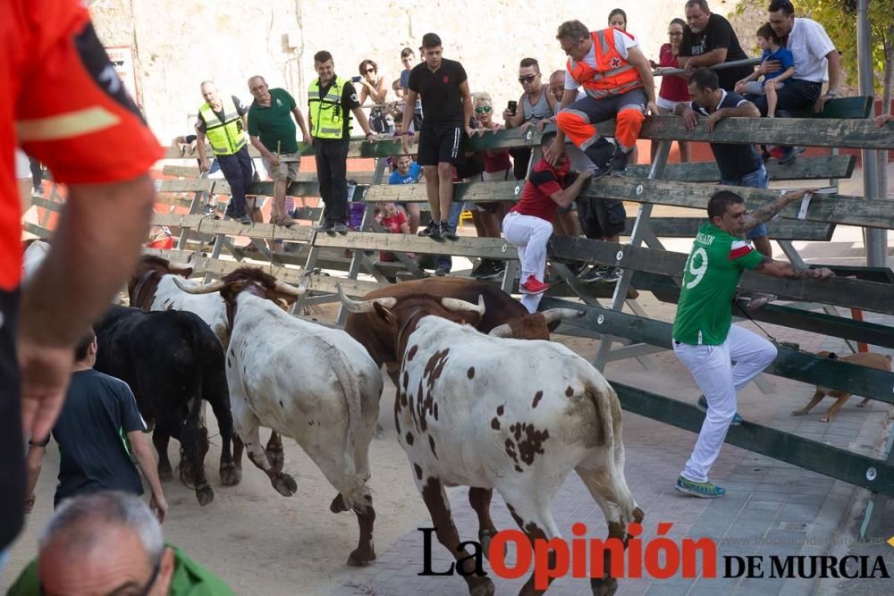 Tercer encierro en Calasparra