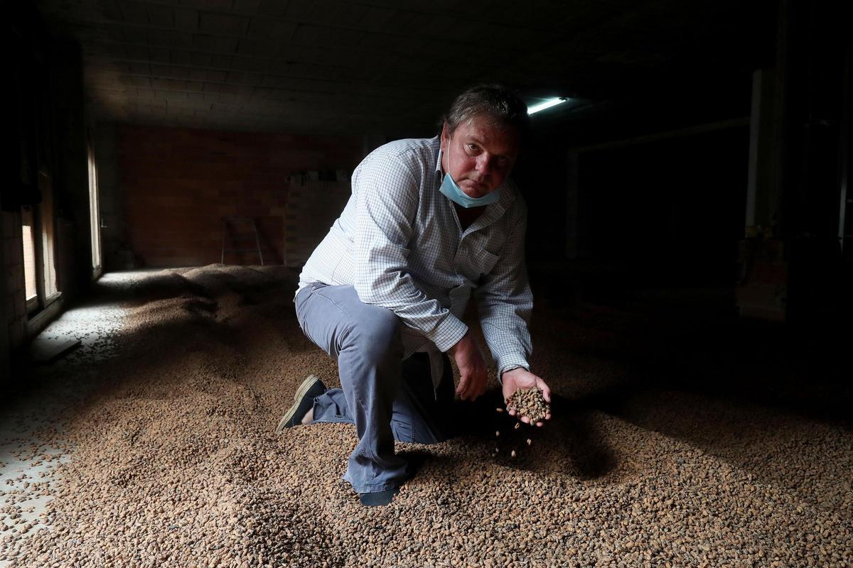 Un productor en un almacén de chufa en una imagen de archivo