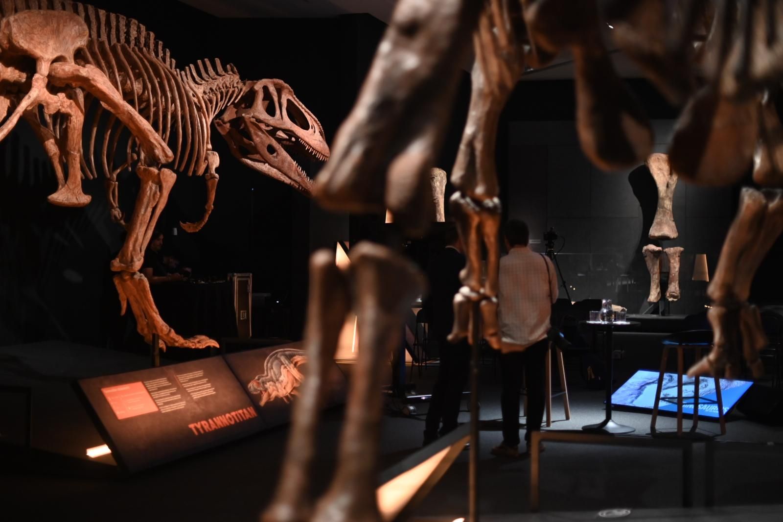 En imágenes | El dinosaurio más grande conocido conquista el Caixaforum de Zaragoza