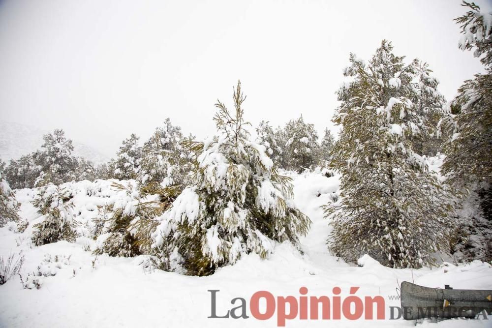 Temporal en el Noroeste (pedanías de El Moral y El