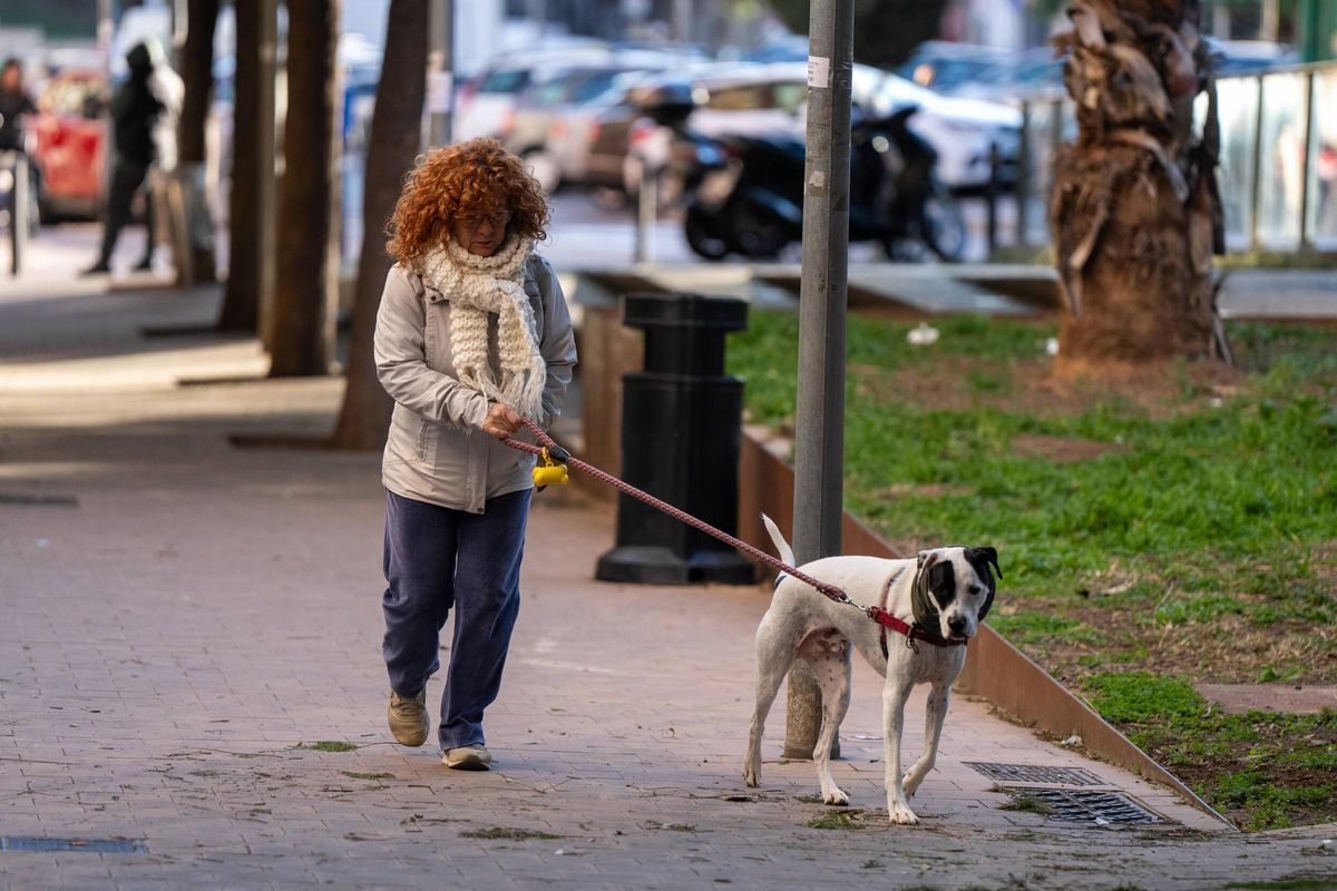 Una vecina pasea a su perro en la Avenida Catalunya de L'Hospitalet, uno de los focos de transformación del Samontà.