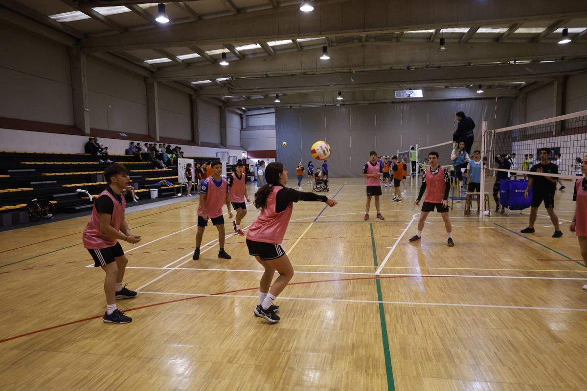 Un torneo de voleibol en el polideportivo de Los Campos.