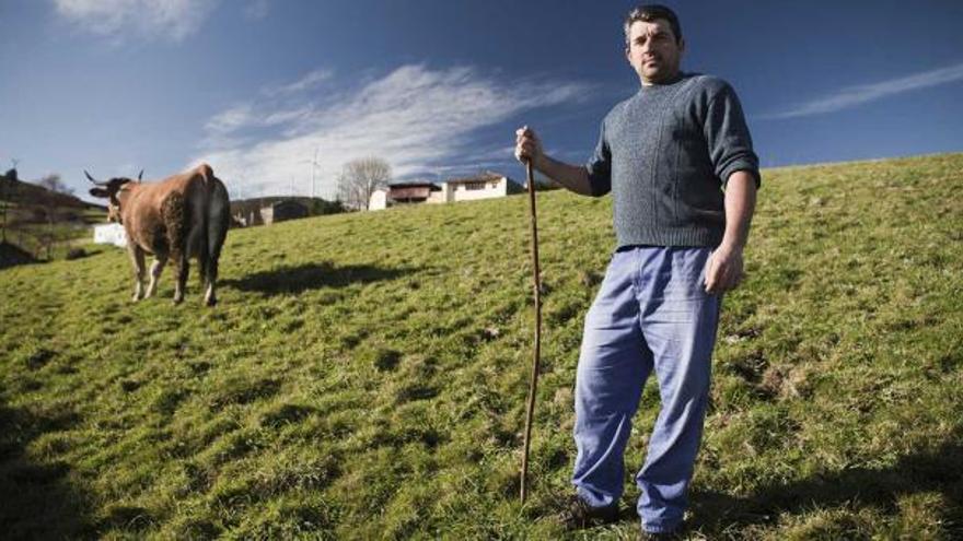 Armando Martínez, junto a una de sus vacas.