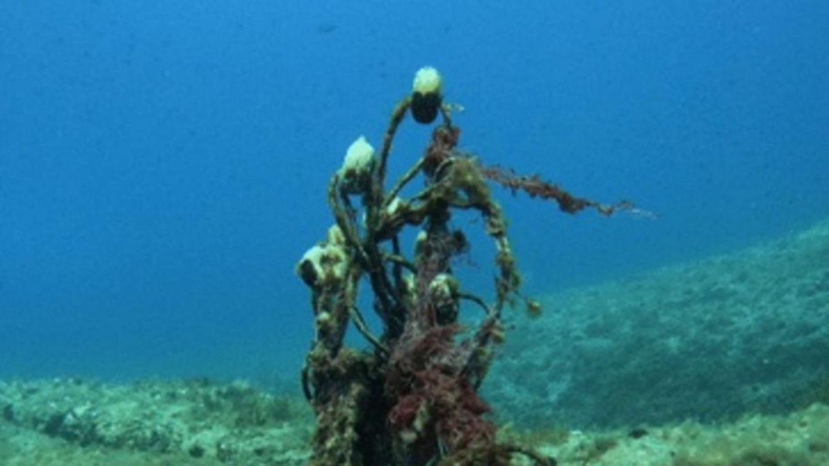 Una red abandonada en el fondo del mar. | CPP