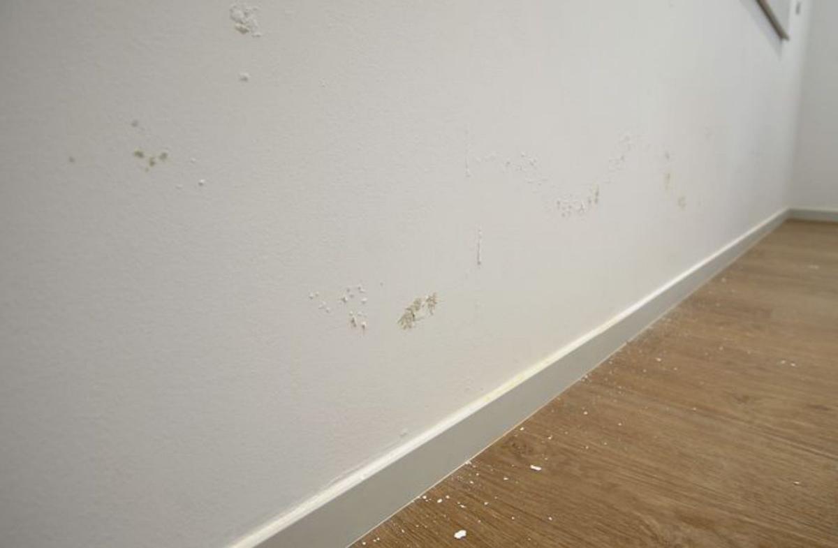 Bernabé/Javier Lalín |