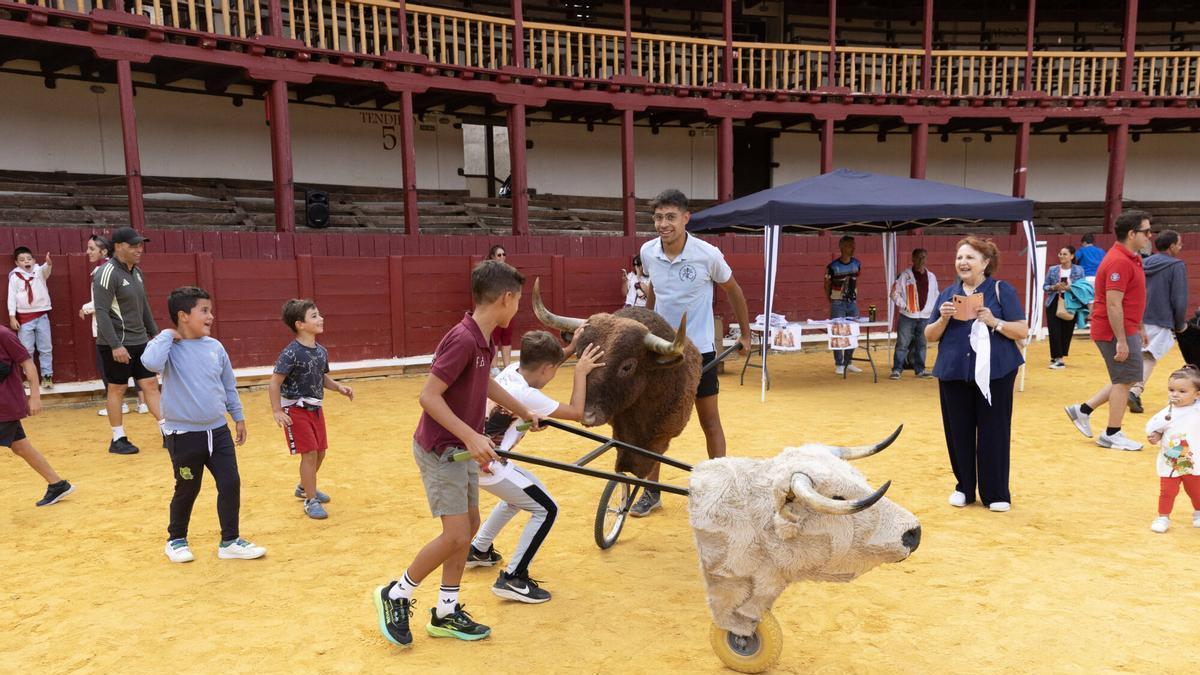 VÍDEO | La plaza de Toro para las nuevas generaciones