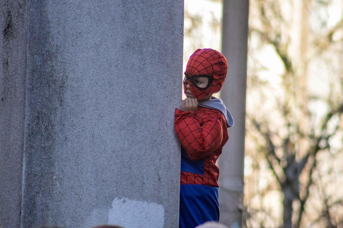 Vintedúas comparsas e dez carrozas: Santiago celebra o día grande do seu Entroido