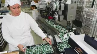 Rute producirá un millón de kilos de dulces y 500.000 botellas de licor