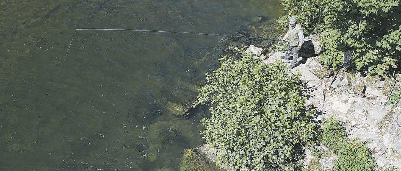 Un aficionado pescando a ninfa en Puente Quinzanas, en el río Narcea.