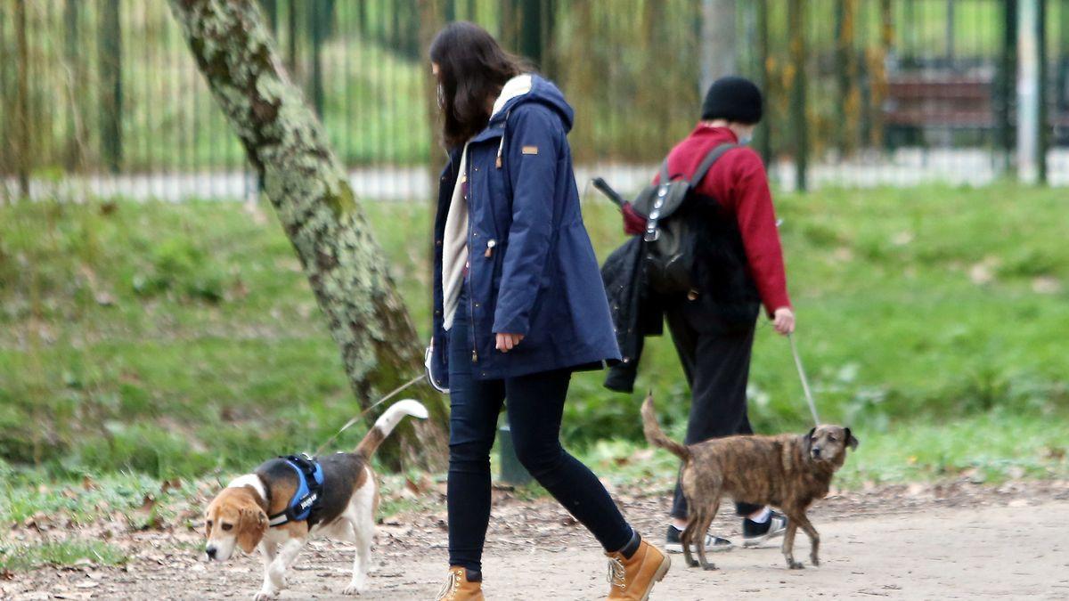 Una mujer pasea con su perro en Vigo.