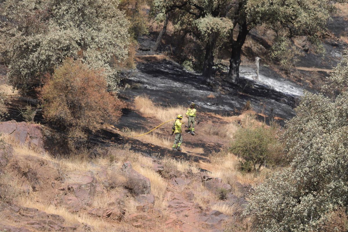 Incendio en La Albaida día 3