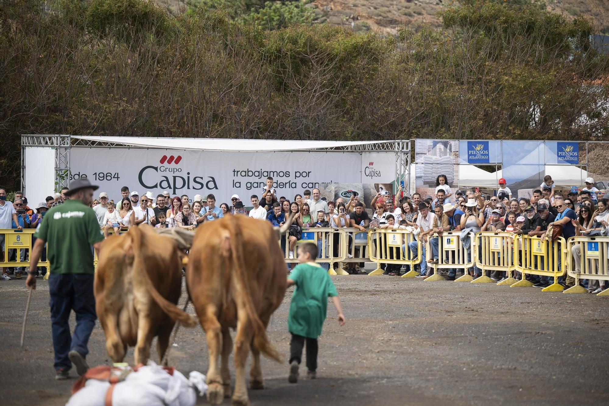 XXXII Edición del Concurso y Exposición de Ganado Selecto