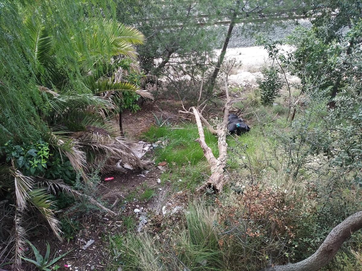 Uno de los árboles desplomados por el talud cerca de las vías, junto a una bolsa de basura.