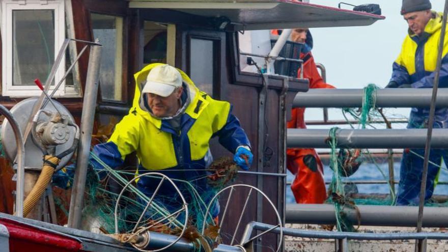 Dos pescadores de la flota arousana de enmalle con centolla. |  IÑAKI ABELLA