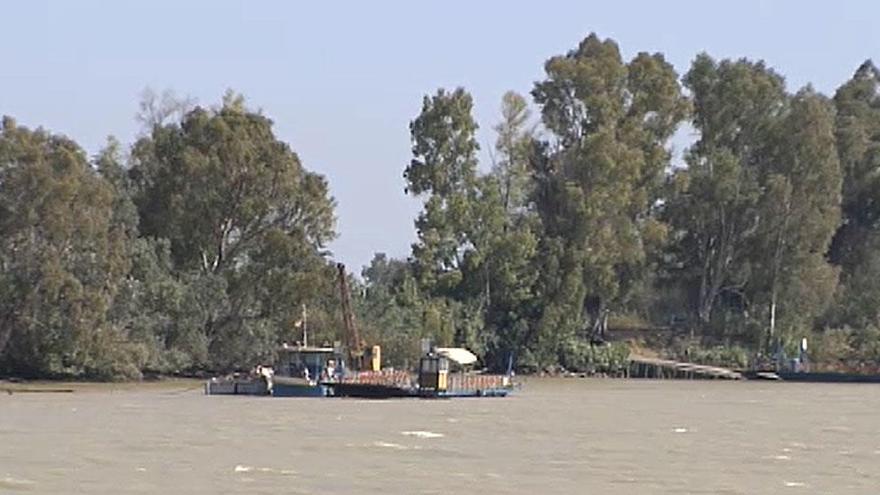 Vista del río Guadalquivir junto a Coria del Río.