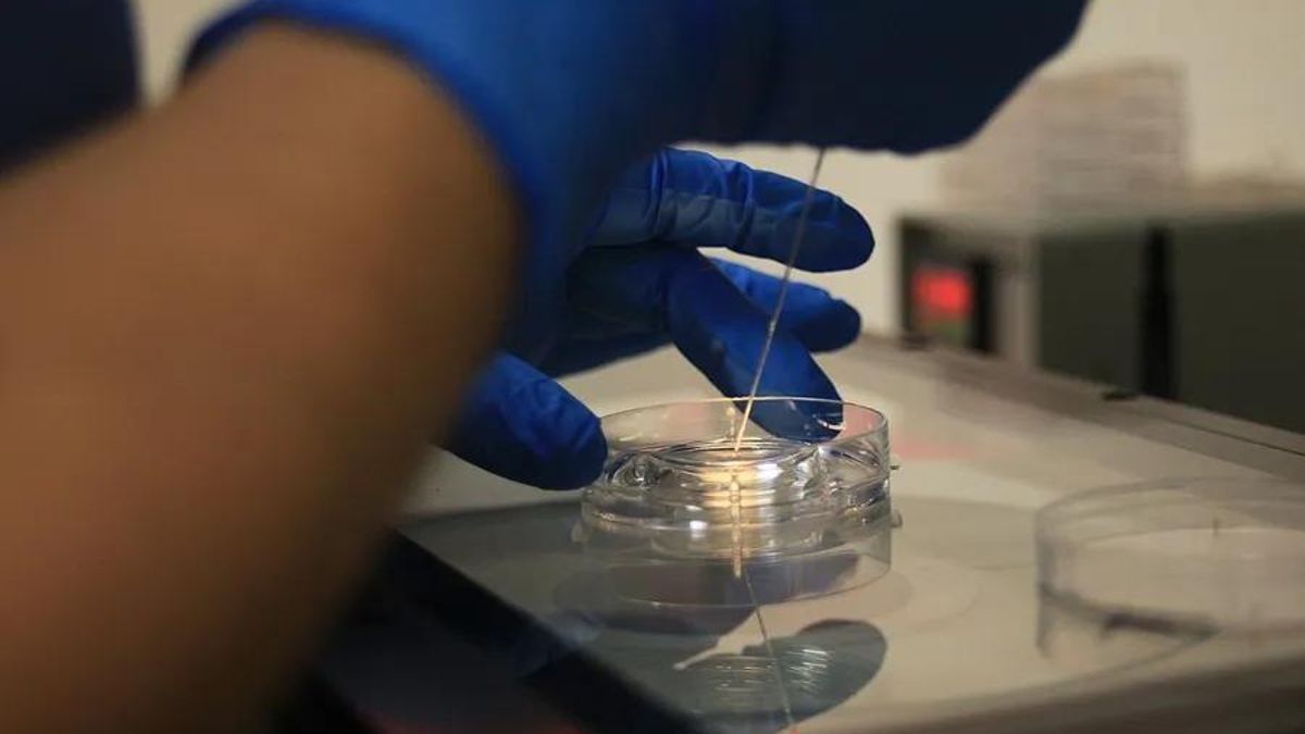 La investigación de los microplásticos es prioritaria para lograr su eliminación en los ecosistemas