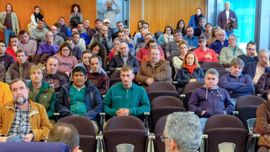 Público en la sala de plenos del Consell durante la sesión explicativa sobre la plaga.